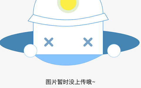 帕拉西奥斯技术特点(阿根廷帕拉西奥斯中场)